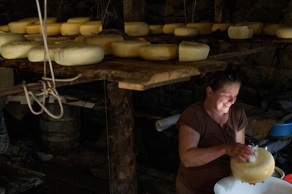 拉里莎·卡萨耶娃制作奥塞梯特鲁索夫山谷传统配方乳酪。 - 俄罗斯卫星通讯社