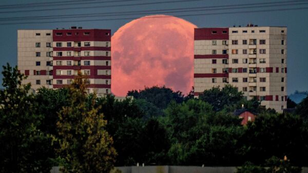 德国，一轮满月落在法兰克福郊区的民居后面 - 俄罗斯卫星通讯社