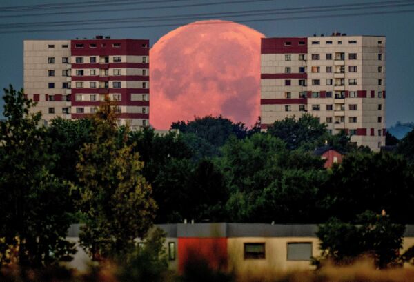 德國，一輪滿月落在法蘭克福郊區的民居後面。 - 俄羅斯衛星通訊社