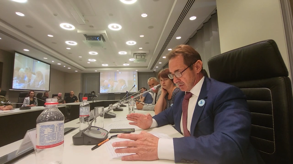 意大利記者譴責歐洲在頓巴斯問題上的立場 - 俄羅斯衛星通訊社