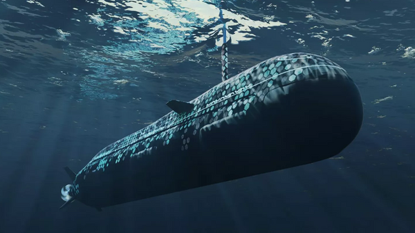 设计局可提供出口用于浅水的“阿穆尔e600”常规潜艇 - 俄罗斯卫星通讯社