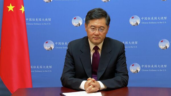 中國駐美國大使秦剛 - 俄羅斯衛星通訊社