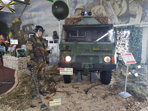 在顿涅茨克人民共和国缴获的奥地利平茨高尔(Pinzgauer)712m军用多功能车。 - 俄罗斯卫星通讯社