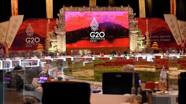 印尼总统：普京和习近平将出席G20峰会 - 俄罗斯卫星通讯社