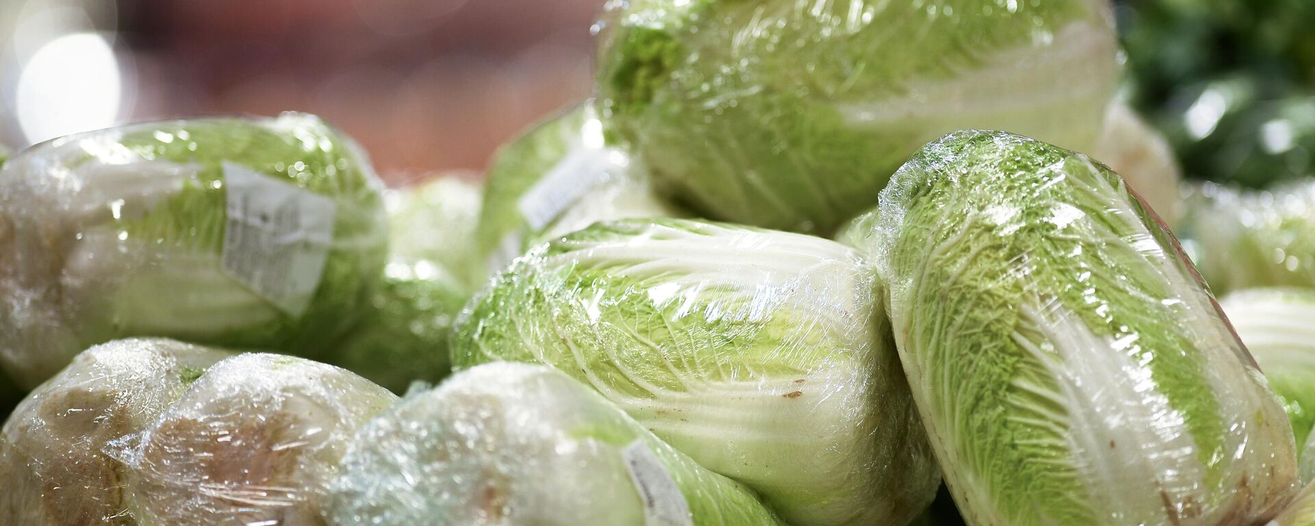 俄罗斯进口开始增长借助于亚洲供货 - 俄罗斯卫星通讯社, 1920, 22.03.2023