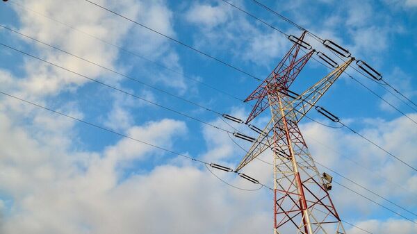 阿穆尔州将对确保向中国供电的3条输电线进行预检 - 俄罗斯卫星通讯社