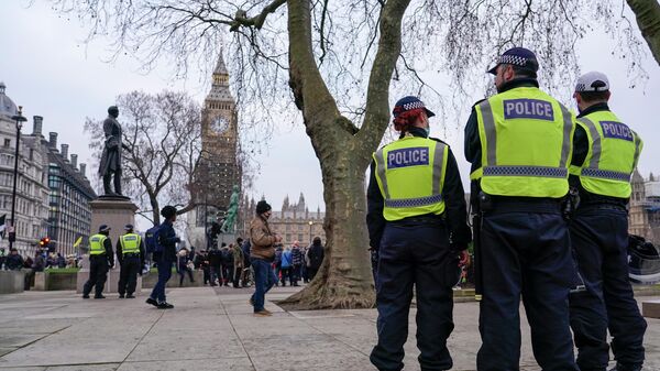 倫敦警方在倫敦市中心拘捕150名支持巴勒斯坦的示威者 - 俄羅斯衛星通訊社