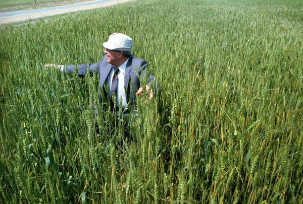 蘇聯總統米哈伊爾·謝爾蓋耶維奇·戈爾巴喬夫在哈薩克斯坦的生荒地。米哈伊爾·戈爾巴喬夫對哈薩克斯坦的工作訪問。 - 俄羅斯衛星通訊社