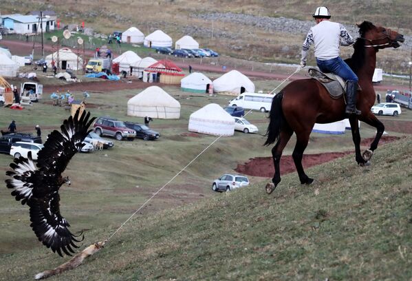 吉尔吉斯斯坦琼库尔恰克山谷举行“萨勒布鲁嗯”传统狩猎节。 - 俄罗斯卫星通讯社