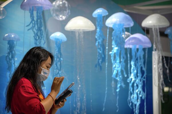 北京中国国际服务贸易交易会上带有水母仿制品的展位。 - 俄罗斯卫星通讯社