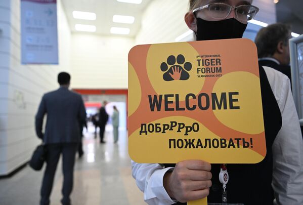 俄罗斯东方经济论坛在符拉迪沃斯托克开幕。图为第二届国际虎类动物保护论坛志愿者引导与会宾客。 - 俄罗斯卫星通讯社