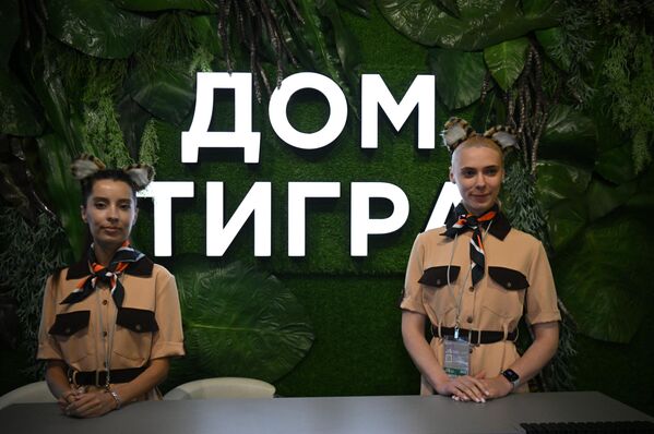 俄羅斯東方經濟論壇在符拉迪沃斯托克開幕。圖為第二屆國際虎類動物保護論壇“虎之家”展台。 - 俄羅斯衛星通訊社