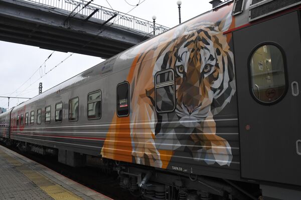 俄铁在符拉迪沃斯托克展示阿穆尔虎的主题列车 - 俄罗斯卫星通讯社