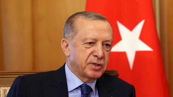  Президент Турции Реджеп Тайип Эрдоган  - 俄罗斯卫星通讯社