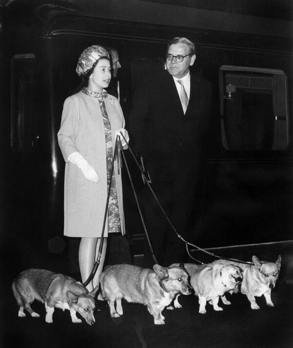 伊麗莎白二世女王和她的四隻柯基犬。 - 俄羅斯衛星通訊社