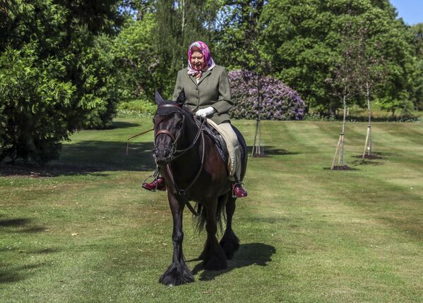 2020 年 5 月 30 日至 5 月 31 日的週末，英國女王伊麗莎白二世在倫敦西部的溫莎私人皇家公園內騎著一匹叫巴爾莫勒爾·費爾恩的14歲費爾矮馬。 - 俄羅斯衛星通訊社