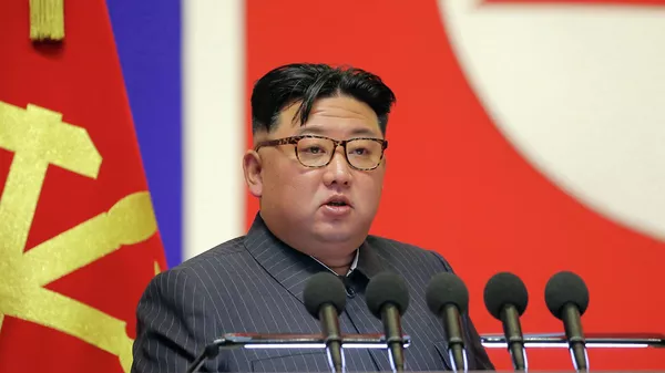 朝鮮領導人金正恩 - 俄羅斯衛星通訊社