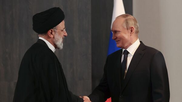 伊朗总统与俄总统普京会晤 - 俄罗斯卫星通讯社