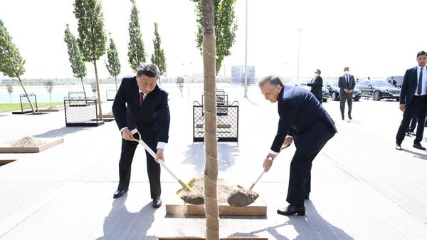 Шавкат Мирзиёев и Си Цзиньпин посадили дерево как символ дружбы народов - 俄罗斯卫星通讯社