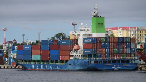 符拉迪沃斯托克港的中国集装箱船 - 俄罗斯卫星通讯社