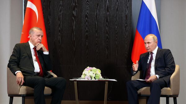 普京和埃尔多安打算在可预见的未来举行双边会晤，尚未商定这次会晤的具体地点和时间 - 俄罗斯卫星通讯社