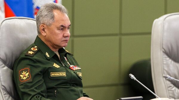 俄羅斯國防部長指出志願者參軍的最大動力 - 俄羅斯衛星通訊社