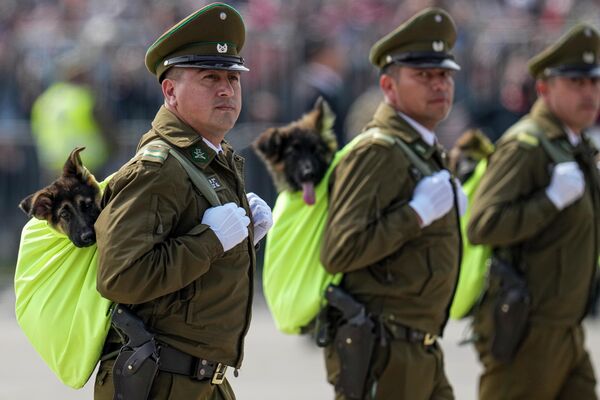 9月19日，在聖地亞哥舉行的建軍節和獨立日慶祝活動上，智利警察背著警犬檢閱。 - 俄羅斯衛星通訊社