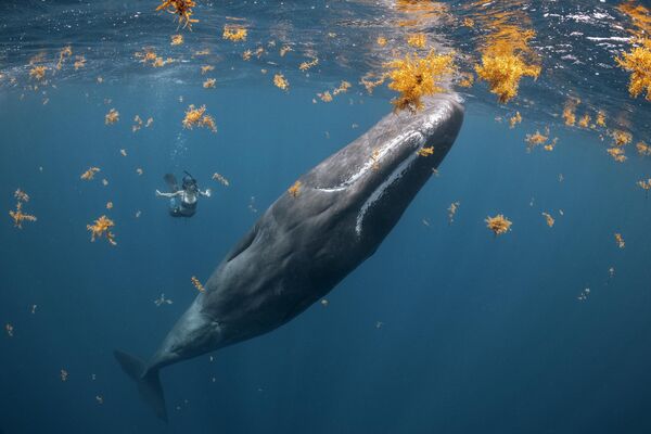 2022年年度海洋摄影师大赛中“人际关系奖：人与海洋”获胜者加拿大裔英国摄影师斯蒂夫·伍兹（Steve Woods）的照片。 - 俄罗斯卫星通讯社