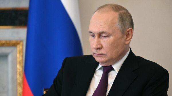 普京：俄羅斯和卡塔爾的關係發展順利 - 俄羅斯衛星通訊社