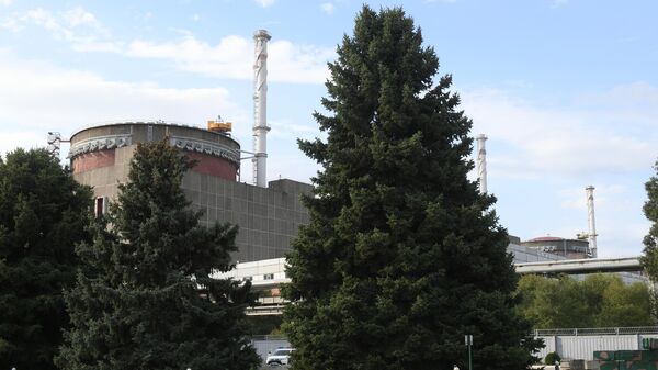 扎波罗热核电站 - 俄罗斯卫星通讯社