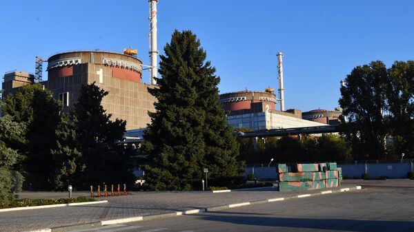 扎波羅熱州當局：只有基輔撤走重型武器，扎波羅熱核電站才可能安全 - 俄羅斯衛星通訊社