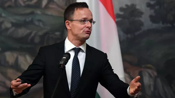 匈牙利外交与对外经济部长彼得∙西雅尔多 - 俄罗斯卫星通讯社