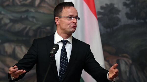 匈牙利外长：布达佩斯无意替换“保克什”核电站核燃料供应商 - 俄罗斯卫星通讯社