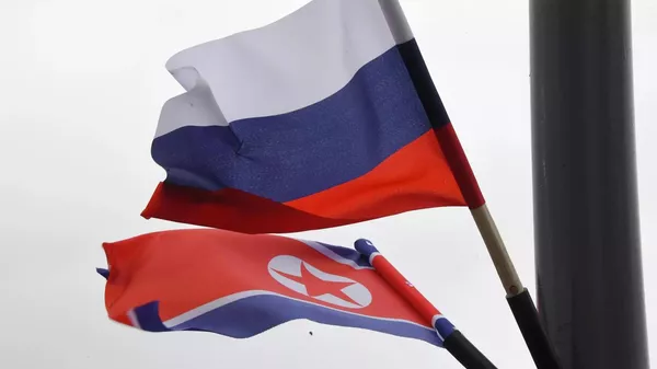 朝鲜和俄罗斯国旗 - 俄罗斯卫星通讯社