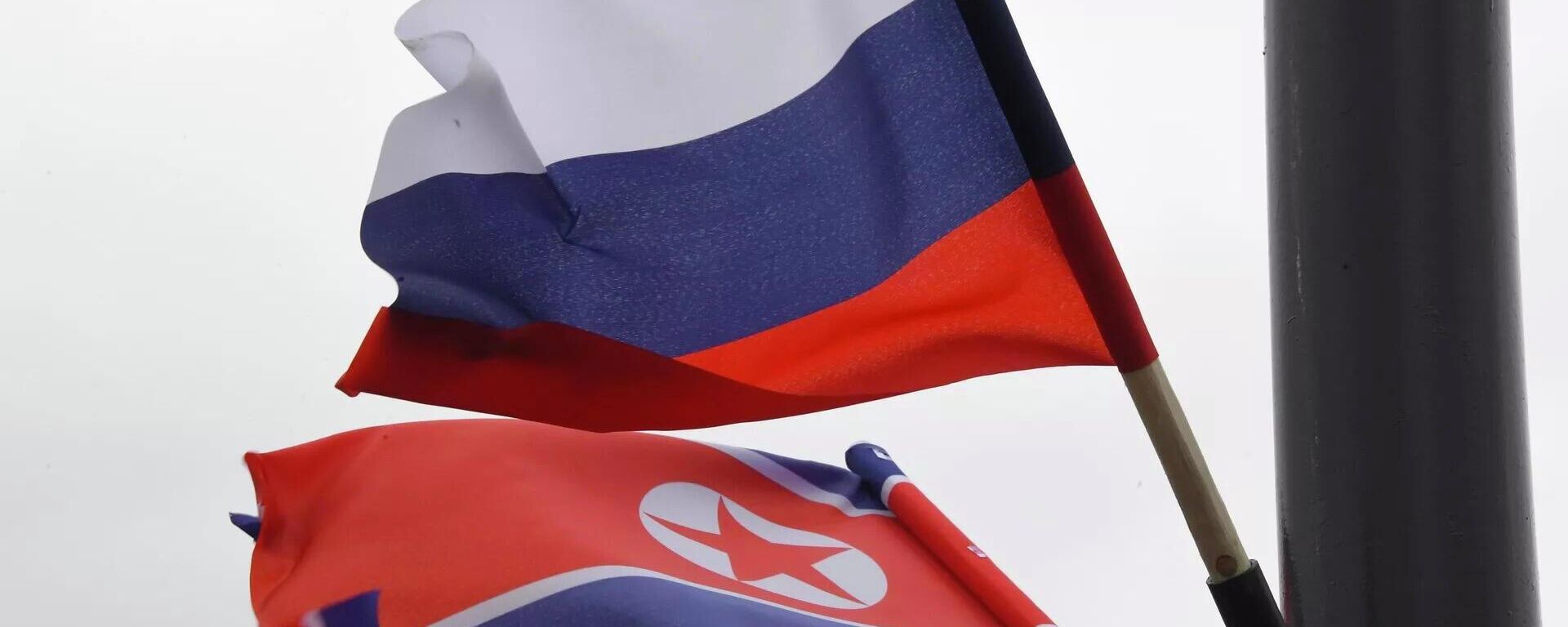 朝鮮和俄羅斯國旗 - 俄羅斯衛星通訊社, 1920, 02.11.2022