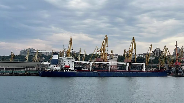 運糧船進入敖德薩 - 俄羅斯衛星通訊社