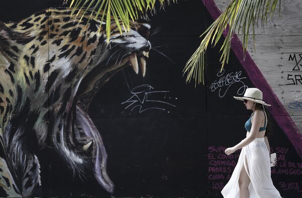 哥倫比亞的遊客從美洲豹的畫像附近經過。 - 俄羅斯衛星通訊社