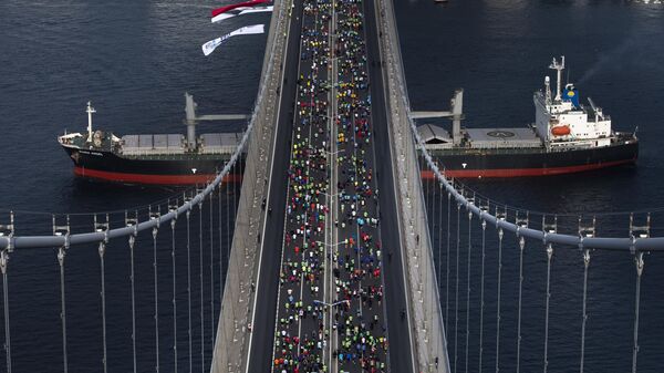 专家：乌军袭击或致土耳其博斯普鲁斯海峡过境收入下降五倍 - 俄罗斯卫星通讯社