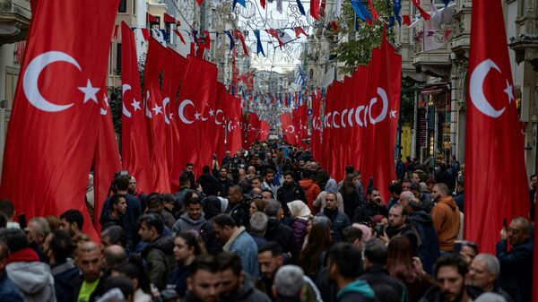 土耳其祖國黨：土耳其應頂住西方在反俄制裁方面的壓力 - 俄羅斯衛星通訊社
