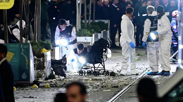 土媒：伊斯坦布尔恐袭事件的女性恐怖分子上过美军执教的情报学校 - 俄罗斯卫星通讯社