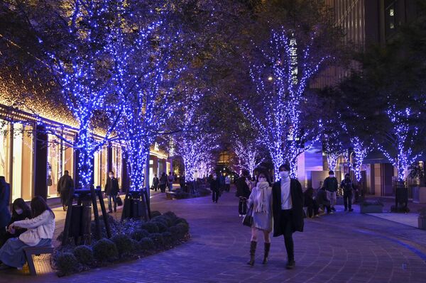 11月18日，在日本东京市中心，人们走在挂满装饰灯的树下。 - 俄罗斯卫星通讯社