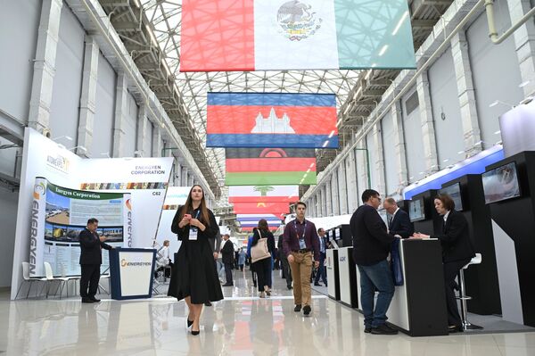 索契第12届核工业展(ATOMEXPO-2022)国际论坛的参与者。 - 俄罗斯卫星通讯社