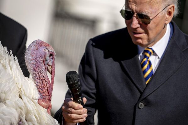 2022年11月21日，在华盛顿白宫举行的火鸡赦免仪式上，美国总统拜登对被赦免的火鸡“巧克力”举着话筒。 - 俄罗斯卫星通讯社