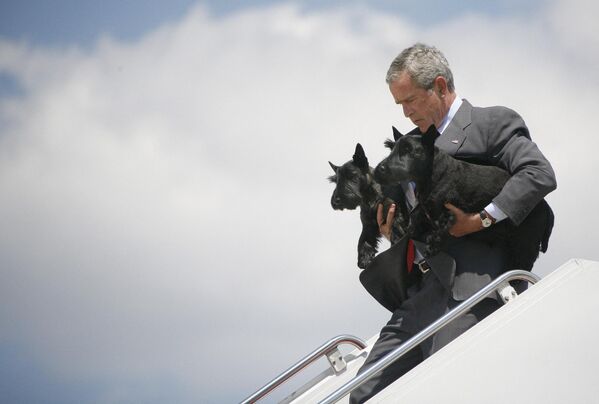 2006年，美國，時任美國總統小布什帶著寵物犬比茲利小姐和巴尼走下空軍一號飛機。 - 俄羅斯衛星通訊社