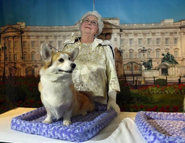 2015年，美國，辛迪·薩維奧利飾演的伊麗莎白二世女王和她的彭布羅克威爾士柯基犬在紐約。  - 俄羅斯衛星通訊社