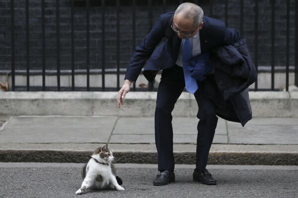 2018年，伦敦，三菱重工欧洲部总裁冈本试图抚摸拉里猫。 - 俄罗斯卫星通讯社