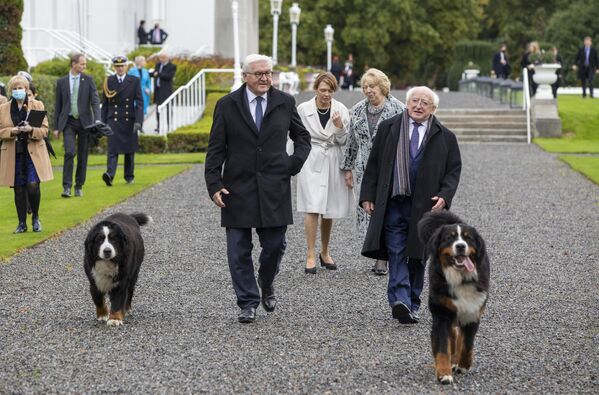 都柏林，德国总统施泰因迈尔和爱尔兰总统迈克尔·希金斯带着宠物犬在爱尔兰总统官邸里。 - 俄罗斯卫星通讯社
