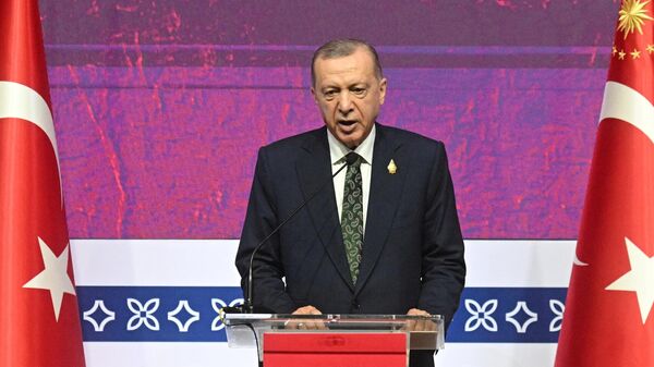 Президент Турции Реджеп Тайип Эрдоган выступает на пресс-конференции во время саммита G20 на Бали - 俄羅斯衛星通訊社