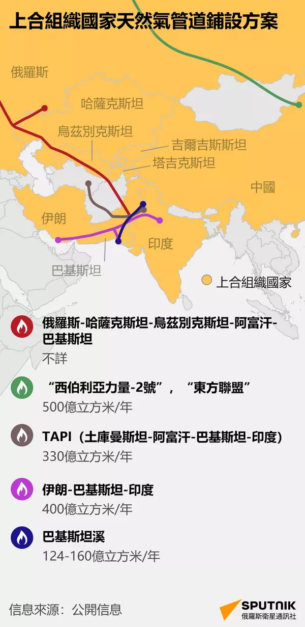 上合組織國家天然氣管道鋪設方案 - 俄羅斯衛星通訊社