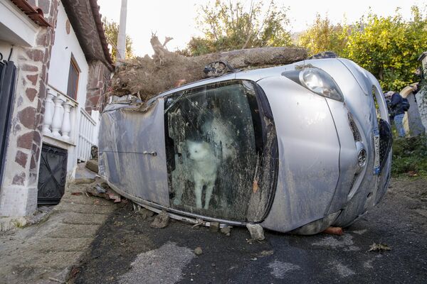 2022年11月28日，意大利南部伊斯基亞島的卡薩米喬拉，一隻被困在主人汽車里約72小時的狗透過擋風玻璃向外看，救援人員正在尋找可能的幸存者。當地政府表示，週六早些時候發生的山體滑坡摧毀了建築物，並將停放的汽車衝入海中，造成至少8人死亡，更多人失蹤。 - 俄羅斯衛星通訊社